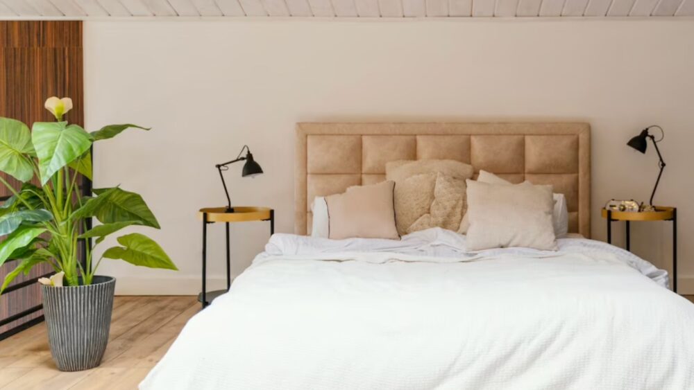 Dlaczego warto zainwestować w produkty od SleepMed?